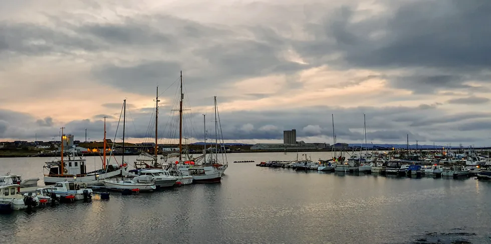 Fra havnen i Vadsø der et nytt fiskeriselskap er startet.