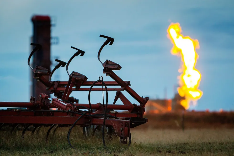 Flammene fra faklingen av en brønn skyter opp i bakgrunnen på et jorde der det drives skiferoljeutvinning, USA. Foto: Ørjan F. Ellingvåg