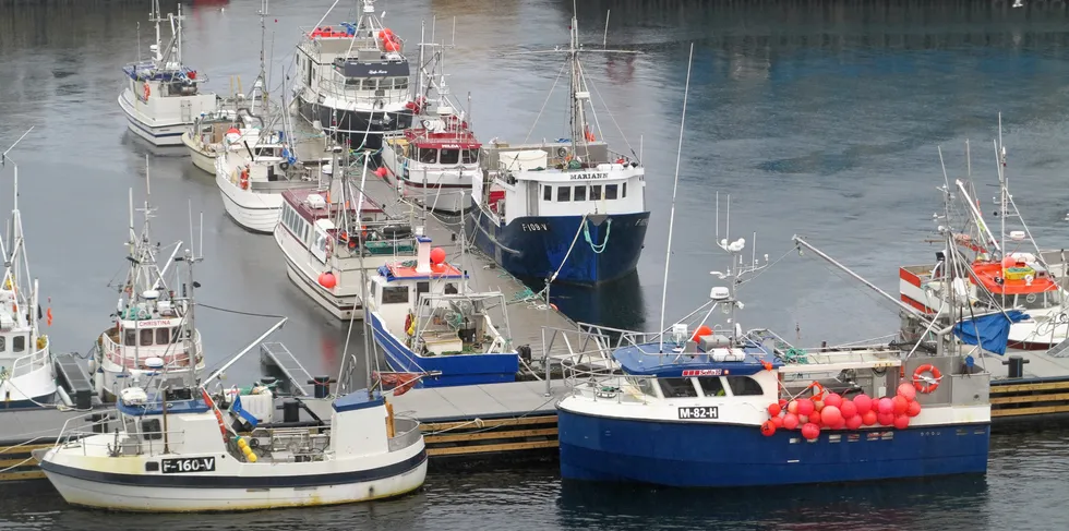 Molnes Seafood holdt til i Vardø. Her fra Vardø havn.