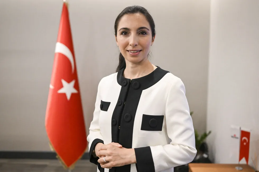 Hafize Gaye Erkan, tidligere co-konsernsjef i First Republic Bank, er nå Tyrkias nye sentralbanksjef.