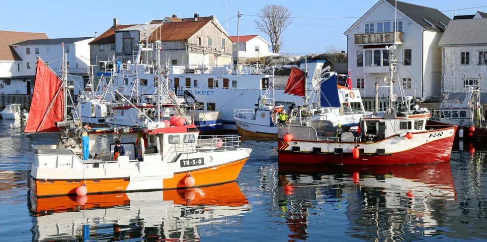 I Berlevåg, Skarsvåg og i Honningsvåg starter det opp nye fiskeriselskap.