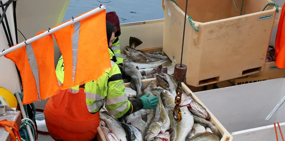 Hvorfor antar myndighetene at det er fiskerne som har meldt inn feil, dersom det er avvik fra det fiskerne melder inn og det vekten på kaien viser?