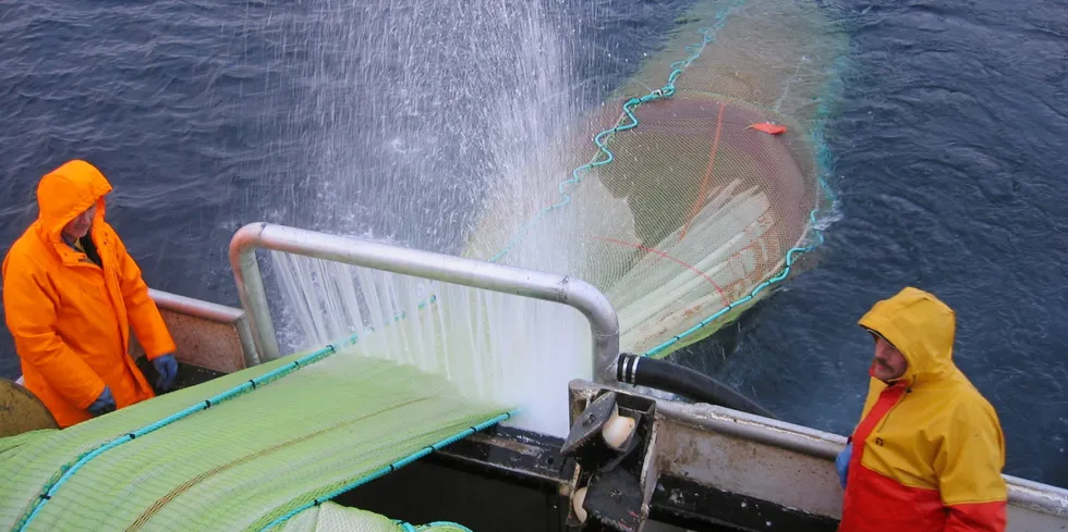 Styret i Nordland Fylkes Fiskarlag antar at en meget stor andel av de fiskeeggene og larvene i raudåtetråling tas som bifangst er kysttorsk.