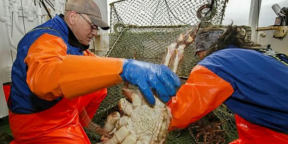 STENGT: Seniorforsker Jan H. Sundet ber kongekrabbefiskerne overholde stengningspåbudet som innføres i flere finnmarksfjorder i neste uke. Foto: Gunnar SætraFoto: GUNNAR SÆTRA, HAVFORSKNINGSINSTITUTTET