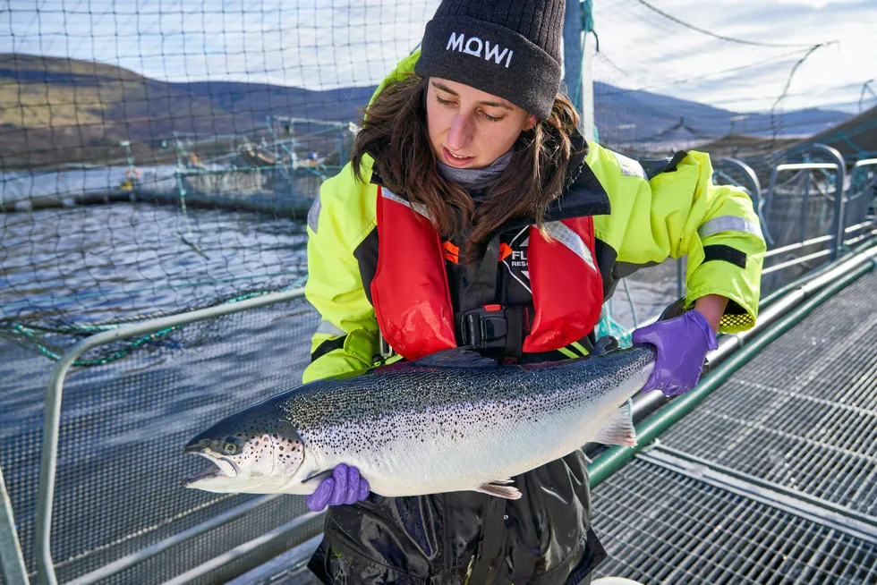 The eight salmon producers evaluated represent more than 50 percent of worldwide salmon production.