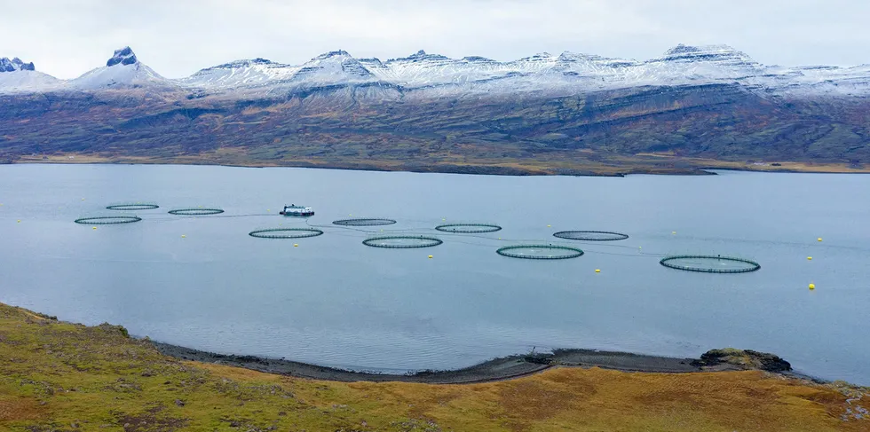 Ice Fish Farm på Island.