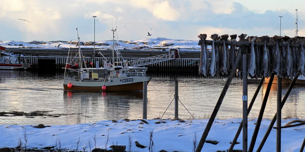 Fiskeindustrien i de seks kommunene i Lofoten hadde planlagt ankomst for 308 utenlandske arbeidere de neste par ukene. Her fra Røst sjømat i fjor.