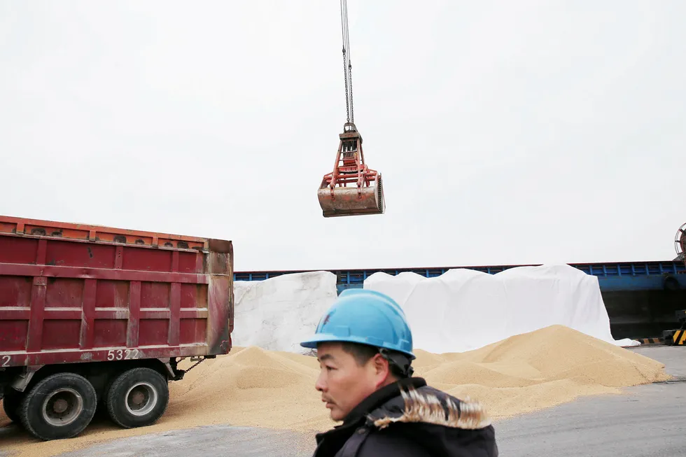 Kina planlegger å ilegge soyabønner fra USA en straffeskatt på 25 prosent hvis USA gjør alvor av truslene om å straffe kinesisk import til USA. Foreløpig går handelen som vanlig og det er håp om at forhandlinger vil avverge en full handelskrig. Foto: China Stringer Network/Reuters/NTB scanpix