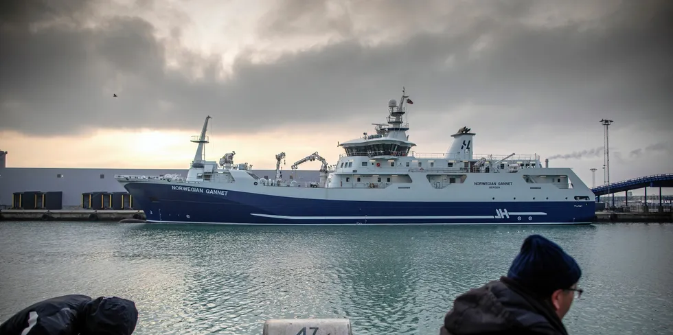 Slaktebåten «Norwegian Gannet» til havn i Hirtshals