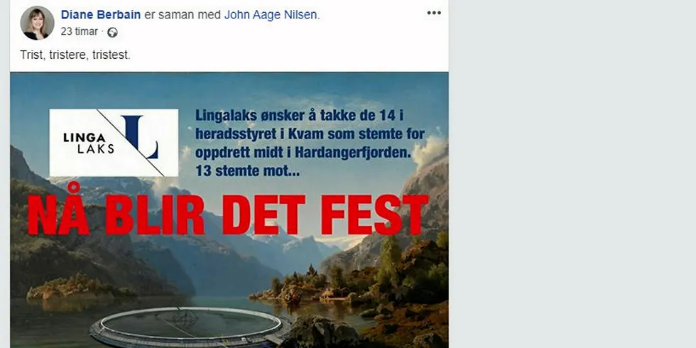 SV-politiker Diane Berbain fra Bergen har delt dette bilde på sin åpne Facebook-side. Montasjen er laget av en privatperson og kommer ikke fra Lingalaks slik det utgir seg for å gjøre.