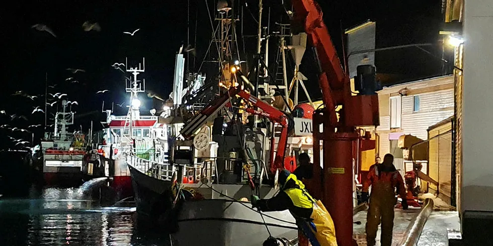 FULL RULLE: I den østre vågen på Andnes var begge fiskebrukene torsdag i full sving med å ta unna de store torskelandingene som kom inn. Her fra Jangaards anlegg på Andenes.