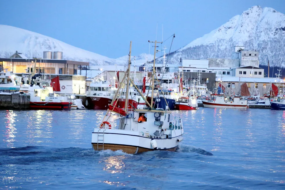 Havforskningsinstituttets utvetydige råd er å ikke åpne «LoVeSe». Området er det viktigste for de norske fiskeriene – og det mest sårbare for oljeutslipp. Her fra Myre i Vesterålen. Foto: Jon Eirik Olsen
