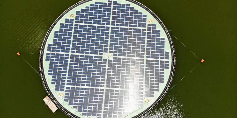 An Ocean Sun floating solar platform.