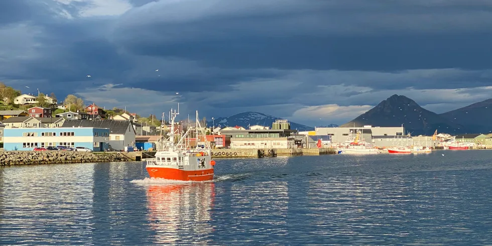 «Myrebuen» på tur ut fra Myre i Vesterålen på blåkveitefeltet. Fiskeri- og havminister Cecilie Myrseth (Ap) vil ha mer aktivitet langs kysten.