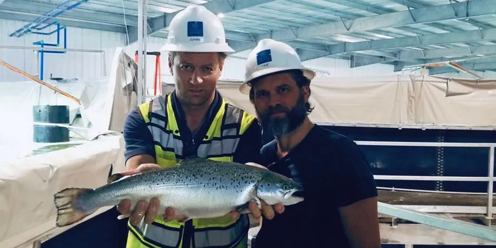 Atlantic Sapphire's Johan Andreassen with one of the company's land-based salmon.