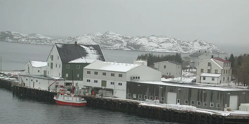 Strey i en fiskebedrift i Henningsvær må betale 1,4 millioner kroner samt saksomkostninger på 300.000 kroner fordi man drev fiskekjøp etter at bedriften var insolvens og ikke kinne gjøre opp for seg. Arkivfoto