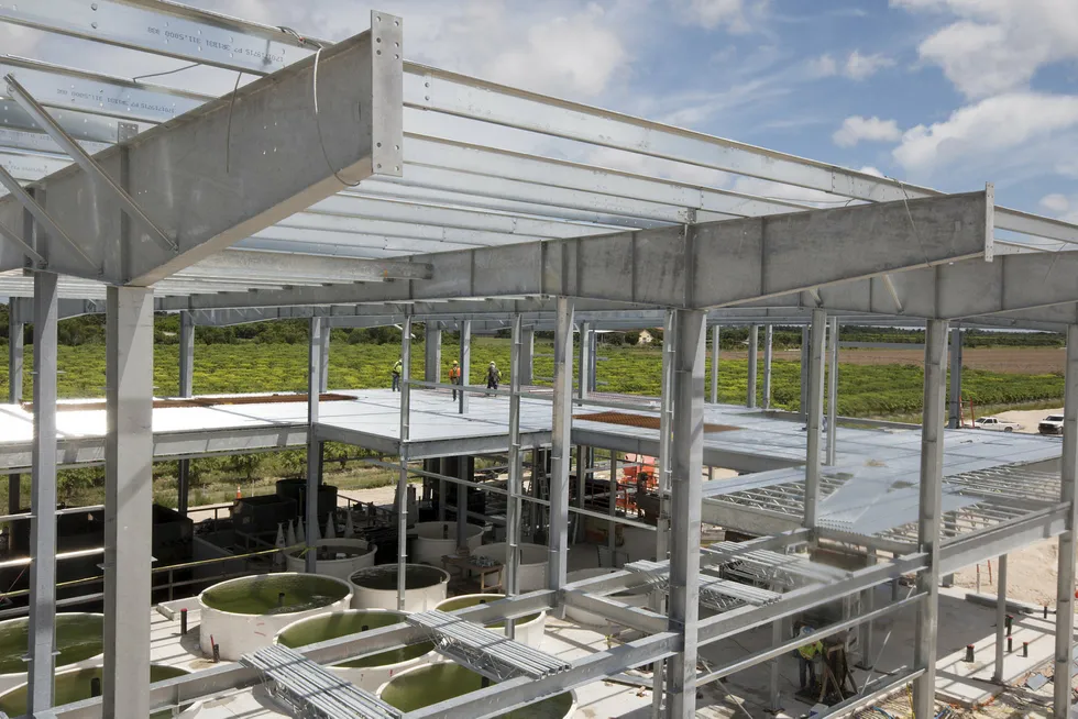 Atlantic Sapphire bygger verdens største landbaserte oppdrettsanlegg for laks på sydspissen av Florida. Her fra september 2018.