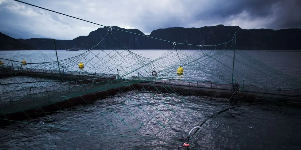 Fiskeoppdrett. Ill.foto: Sondre Steen Holvik, DN.