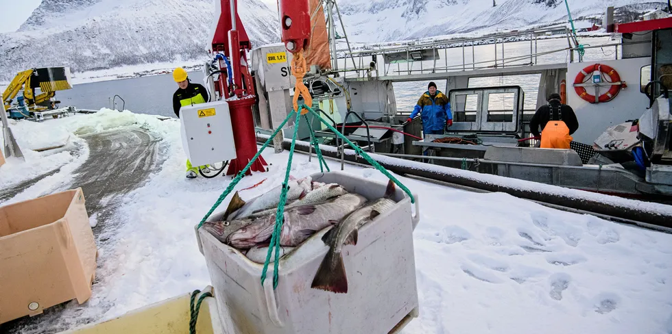 Vi vil på nytt fremheve at vi har en fantastisk næring både på land og sjøsiden som vi heller må snakke frem, fremfor å tegne et dystert negativt bilde av, skriver Fiskebåt. Bildet er fra fiskemottaket i Tromvik.