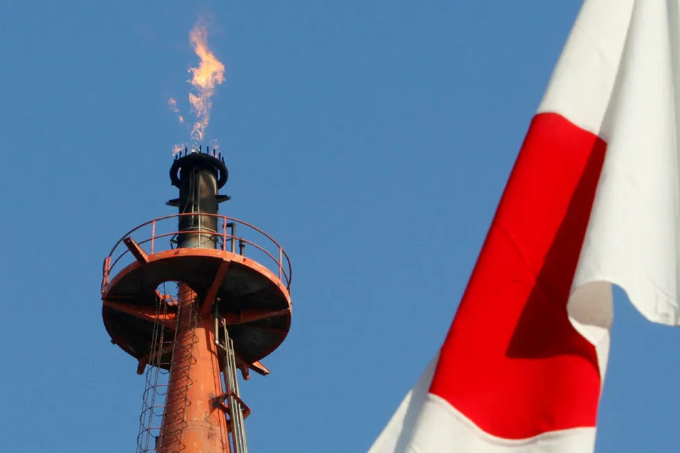 flagging results: Tokyo Gas saw its profits nearly half in the 2019 financial year as impairments on its upstream assets weighed on its bottom line