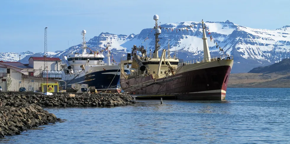 Den islandske fiskeindustribedriften Eskja i Eskifjord kjøpte makrellfangsten fra «Havsnurp», men fikk ikke ta den imot.