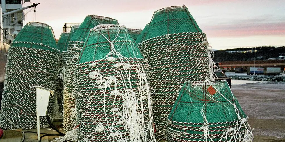 SNØKRABBETEINER: Fiskeridirektoratet har hatt en storstilt opprydning av slike snøkrabbeteiner i Barentshavet.Illustrasjonfoto: Hugo Mortensen