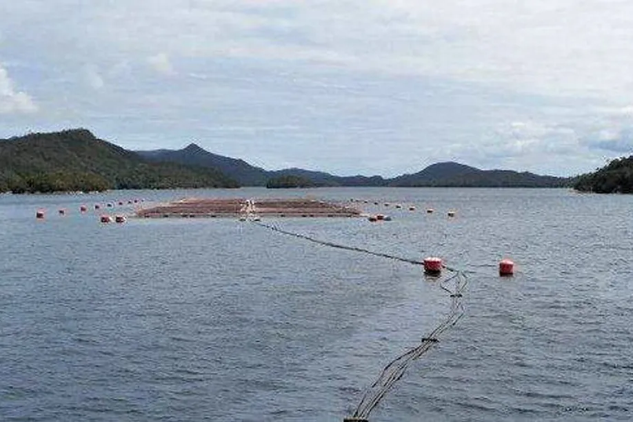 ISA disease has been confirmed at a Yadran salmon site in Chile.