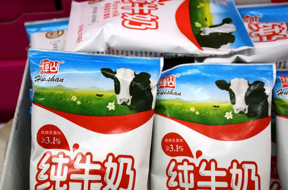 China Huishan Dairy Holdings var i ferd med å bygge opp et av verdens største meieriselskaper med store farmer i Kina. Nå har alt kollapset. Finansdirektøren har forsvunnet. Det har også tre milliarder kroner fra selskapets kasse. Foto: AP/NTB Scanpix