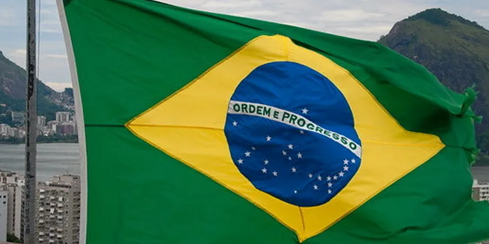 . Brazil flag.
