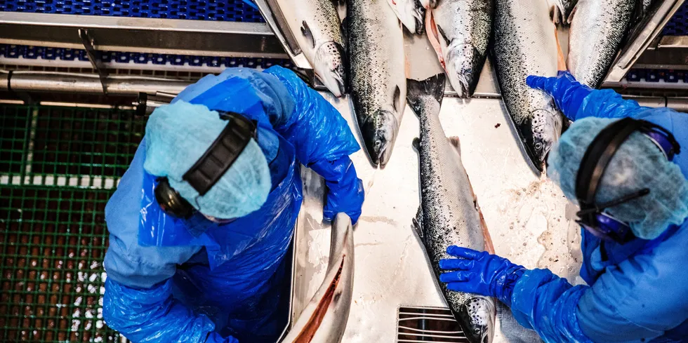 Lerøy Seafood Group har blant annet et slakteri på Skjervøy i Troms.