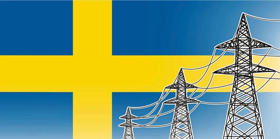 Den svenske regjeringen håper å korte ned tiden det tar å ferdigstille en kraftledning med to år ved å gjøre konsesjonsprosessen mindre omfattende.