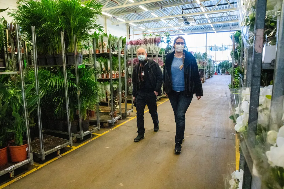 Styreleder Ola Ølstad og hr-sjef Rita Bondeson Børke i Mester Grønn går gjennom selskapets lager i Lier utenfor Drammen hvor plantene skulle vært ute i butikk nå