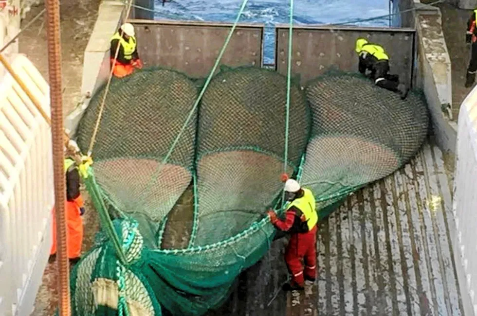 Lerøy Havfisk sin tråler «Nordtind» koker reker om bord på andreåret.