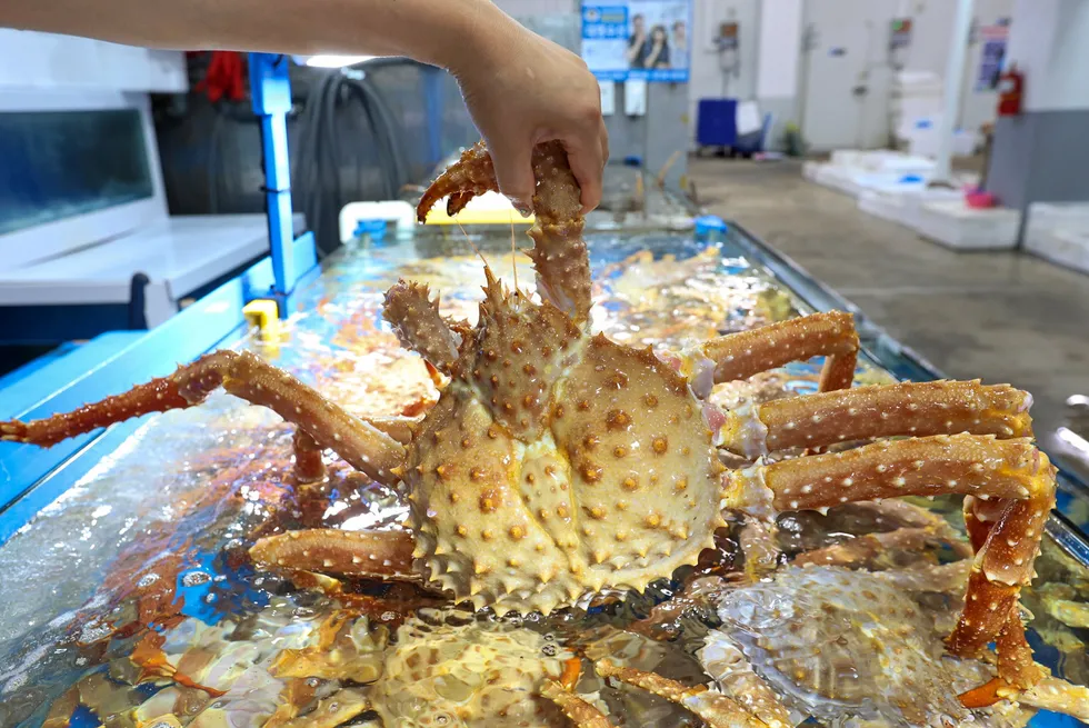 Shipping live crab to Asia from northwest Russia requires both retooled vessels and appropriate logistics solutions.