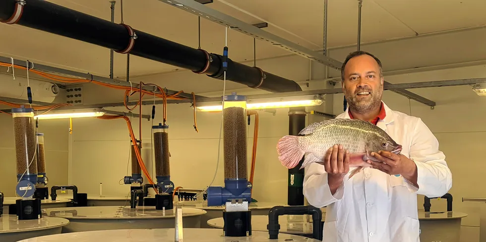 Professor Jorge Fernandes fra Portugal har spesialekspertise innen tilapia.