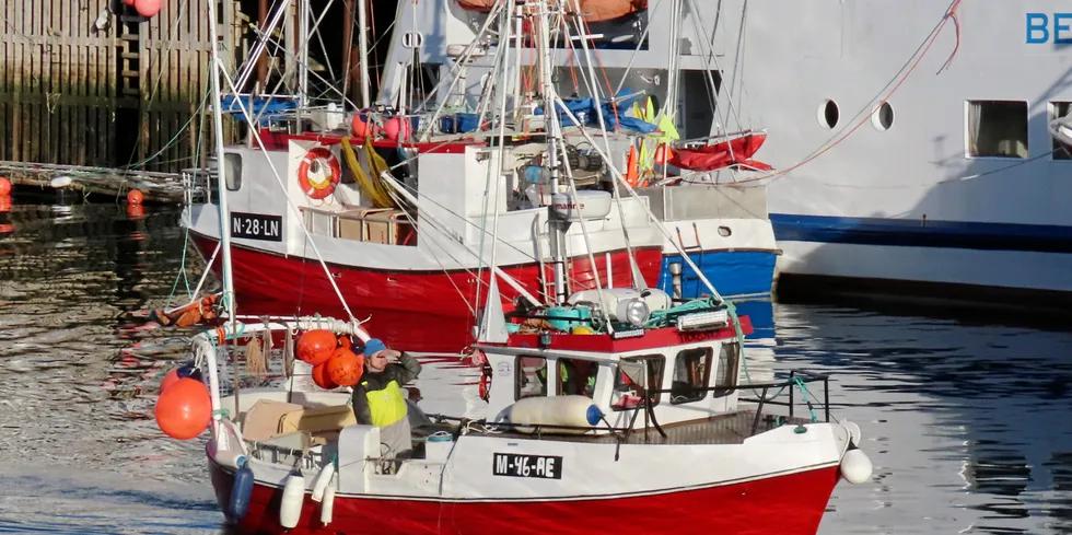 Det er behov for flåtefornying i kystgruppene, skriver Dag Standal i Sintef. Bildet er fra havna i Henningsvær.