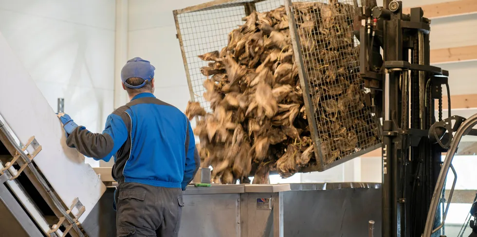 Tørrfiskprodusenten Saga Fisk i Svolvær frykter konsekvensene av strenge innreiserestriksjoner.