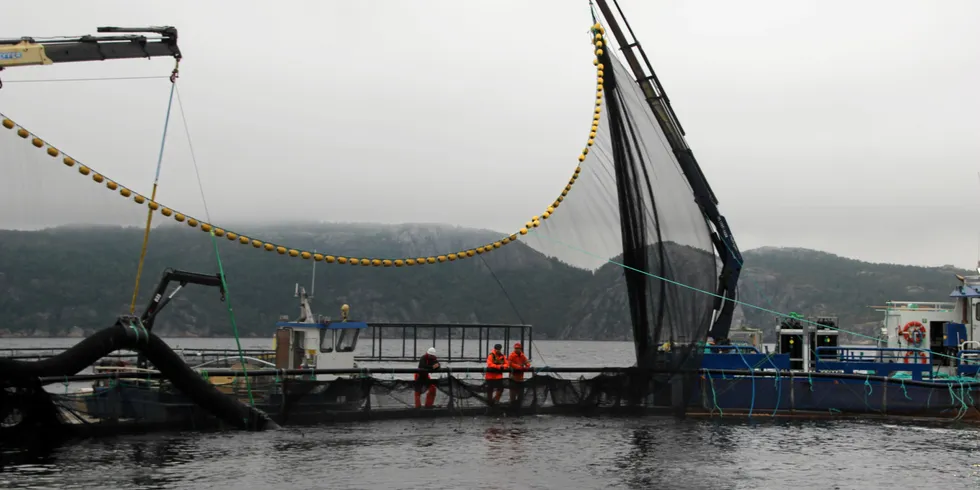 22 tilsyn med internkontrollsystem for bruk av legemiddel hos oppdrettarar, gav totalt 70 avvik og 23 forbetringspunkt. (Illustrasjonsfoto)