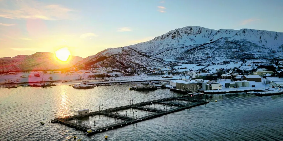 Alsvåg Lakseslakteri ligger i Øksnes kommune i Nordland.