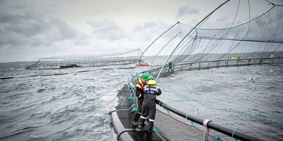 EVENTYRLIG: Norske havbruksselskaper har nå en eventyrlig fortjeneste i sin produksjon av laks. Den fortjenesten bør kanaliseres i videre vekst i norsk havbrukIll.foto: Ole Morten Melgård