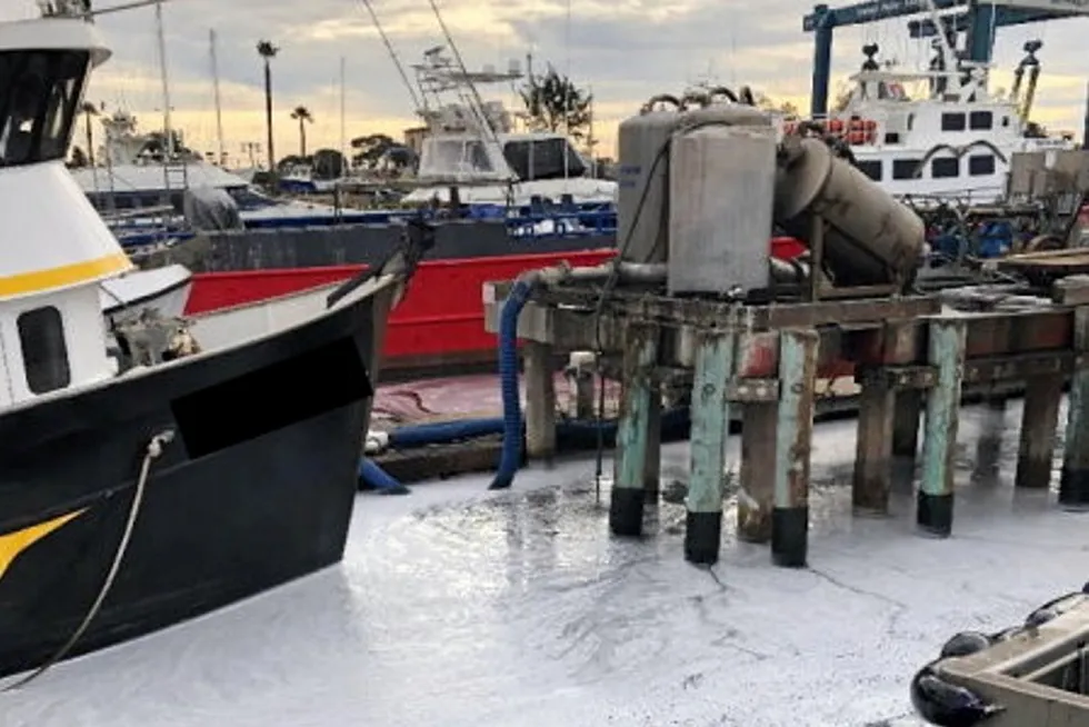Silver Bay has offloaded illegal substances related to its squid fishing in California, according to the Ventura County District Attorney's Office.