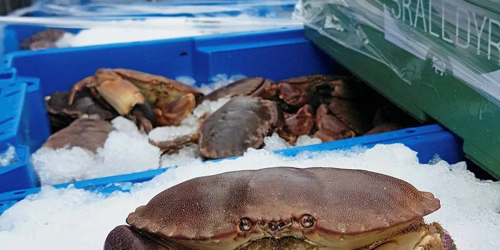 Føringstilskuddet er et tilskudd til frakt av fisk og skalldyr mellom ulike områder for blant annet å opprettholde en variert flåtestruktur, lokale fiskerimiljø og ressursutnyttelse i områder uten mottakskapasitet i umiddelbar nærhet.Illustrasjonsfoto: Kenneth Didriksen