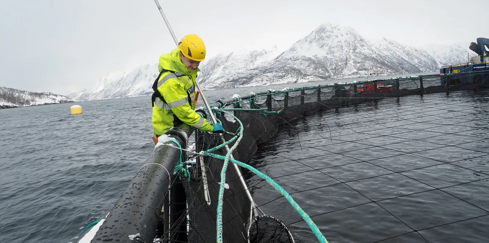 Grieg Seafood produserer laks blant annet her i Finnmark