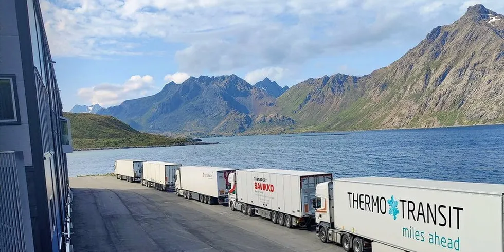 Produksjon i norsk periferi for globalt marked: Fisken pakket og klar for videre transport fra Jennskaret i Bø i Vesterålen hos Egil Kristoffersen & Sønner.