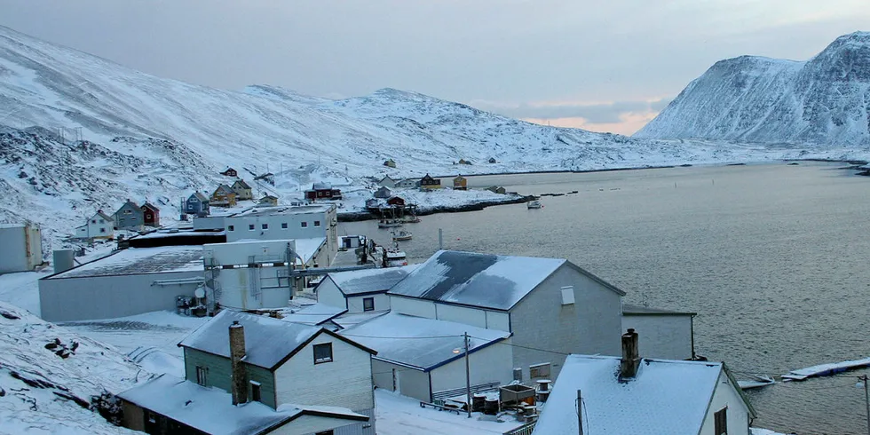 AVHENGIG AV TELIA: Tufjorden er en fjord på vestsiden av Rolvsøya i Måsøy kommune i Finnmark. Fiskeværet Tufjord ligger på nordsiden av fjorden. De har kun edge-dekning fra Telenor og er derfor avhengig av senderen til Telia for internettkontakt med omverden.