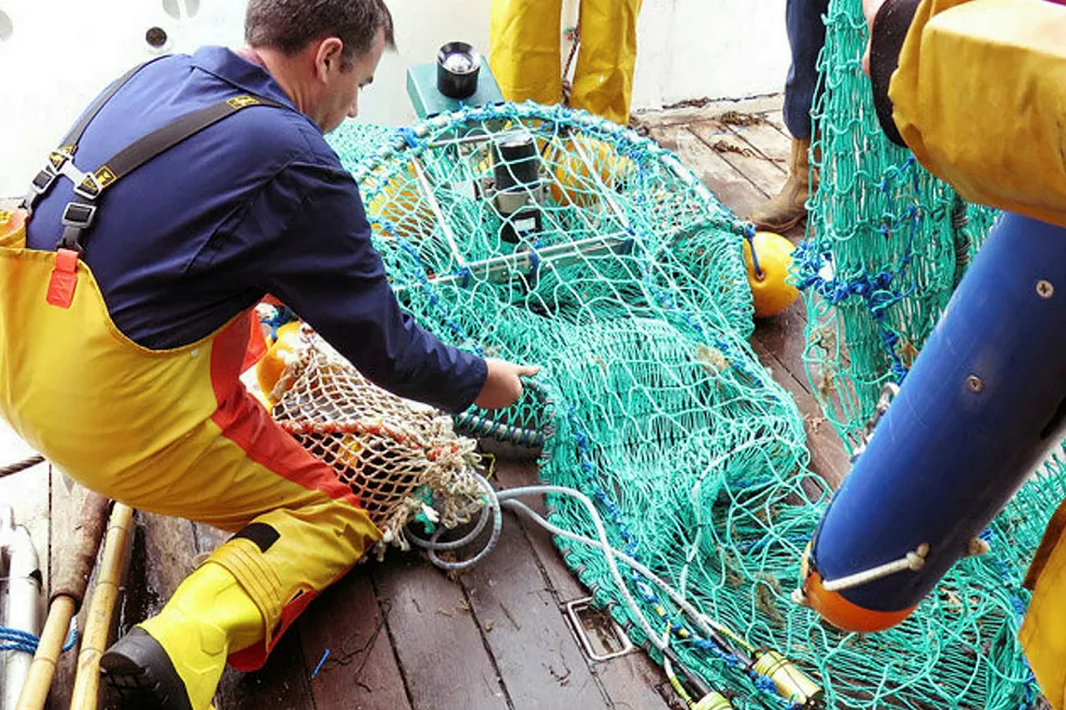 Tech start-up claims to reduce bycatch by up to 90% using LEDs