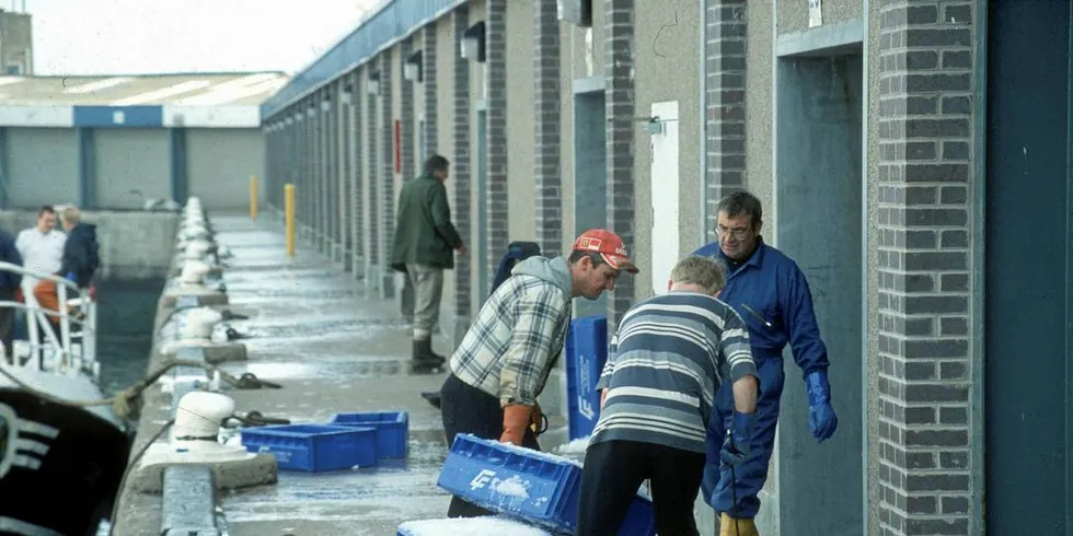 DUMPER FISK: EU-fiskerne dumper fremdeles svært mye fisk i havet, og tar ikke med seg fisken til kai som her i Peterhead i Skottland.Foto: Karsten Braüner