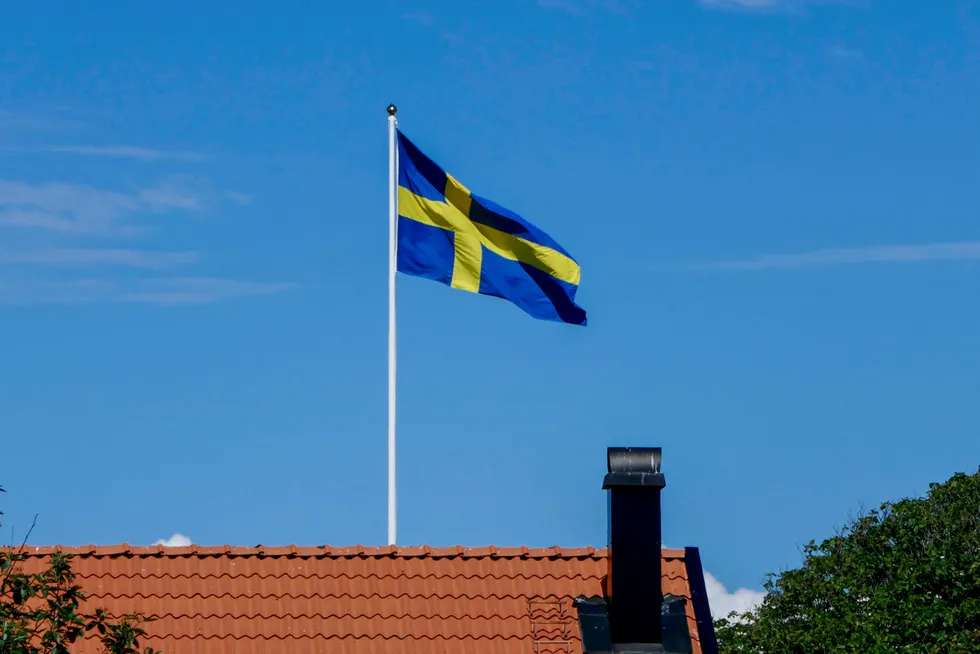 Fra 2008 til 2018 økte andelen av norske bedrifter som er utenlandsk eid. I Sverige, som har avskaffet formuesskatten, falt utenlandsandelen i samme periode, skriver Jon Gunnar Pedersen.