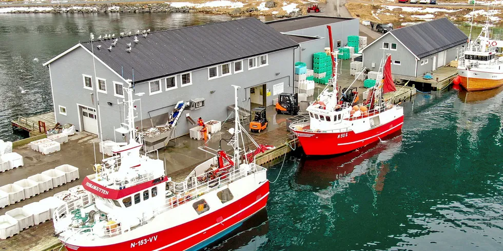 REETABLERT: Steinfjorden Sjømats mottaksstasjon på Eggum i Vestvågøy ble reetablert som fiskemottak i 2011 – ei investering som virker å kaste av seg for sjømatselskapet.