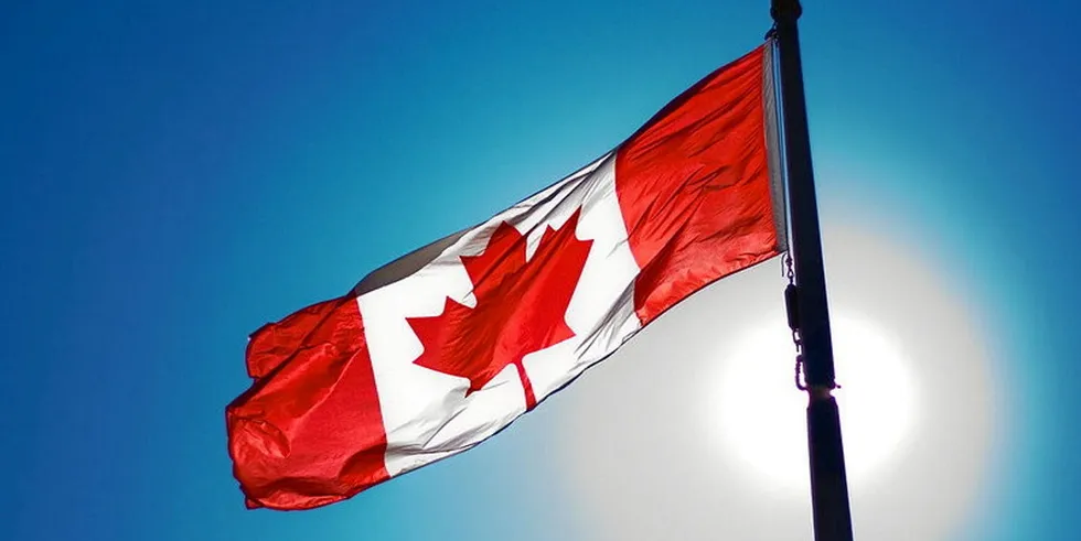 . Canadian flags in Canada.
